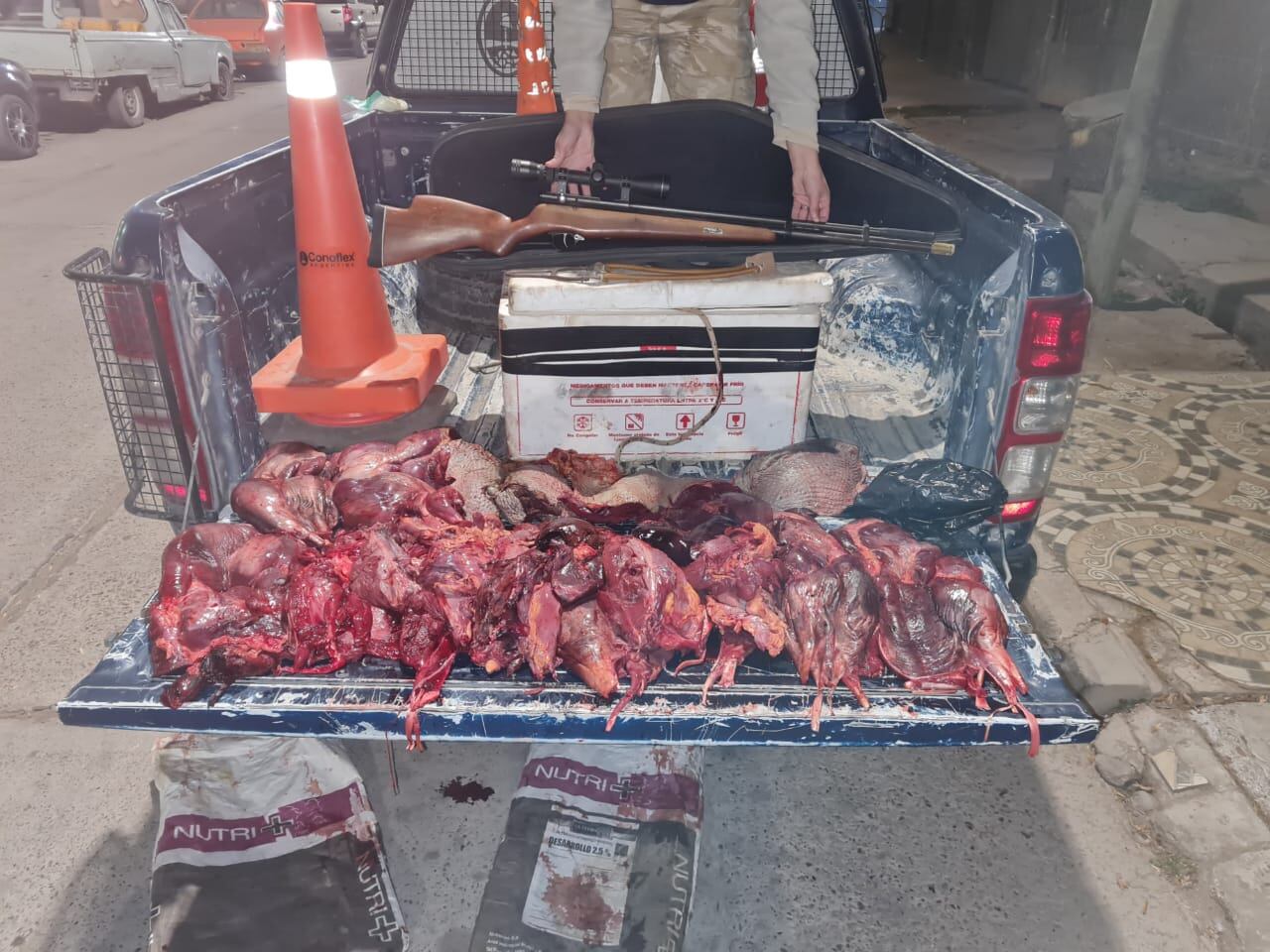 La policía detuvo a los cazadores furtivos que ya habían faenado a los animales.