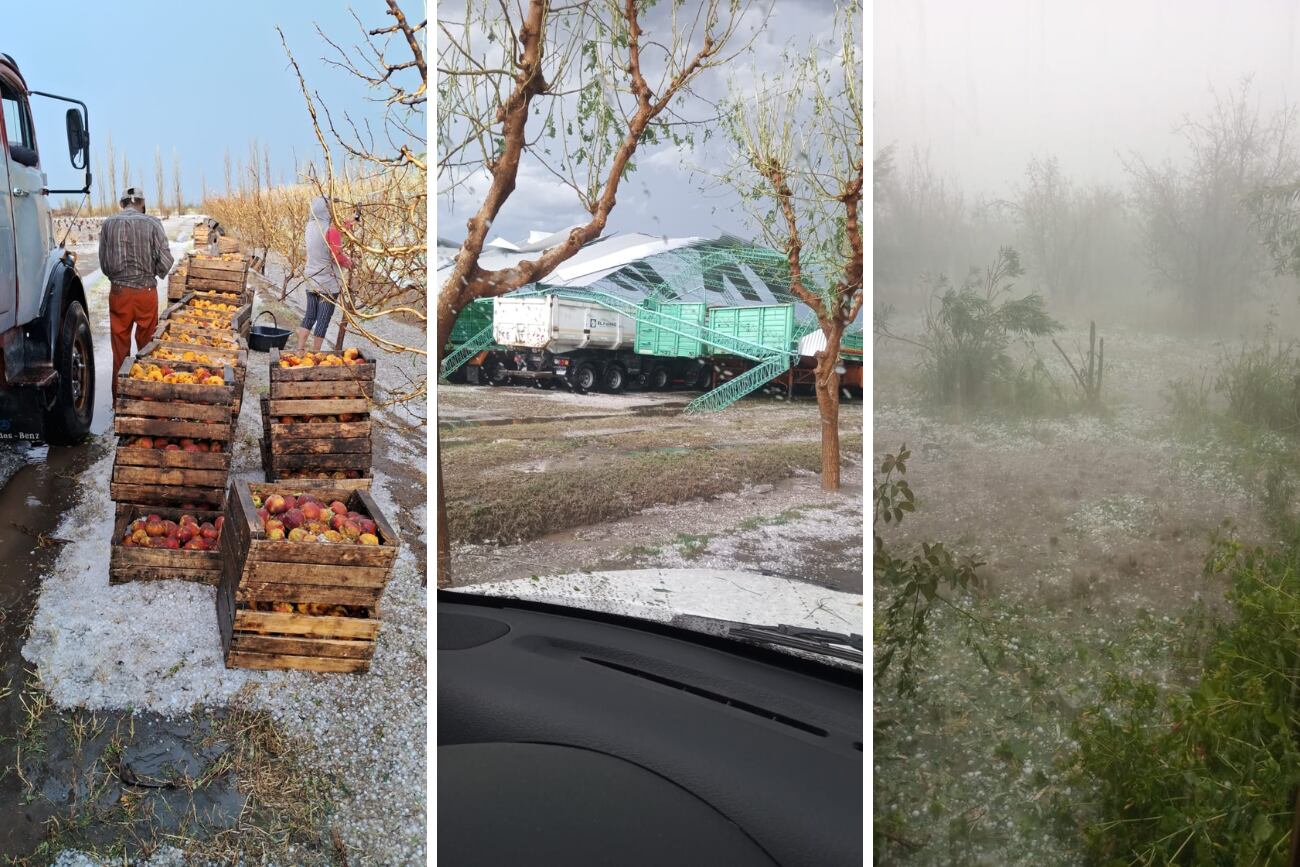 Una violenta tormenta se registró durante la tarde de este lunes en Real del Padre y provocó graves destrozos.