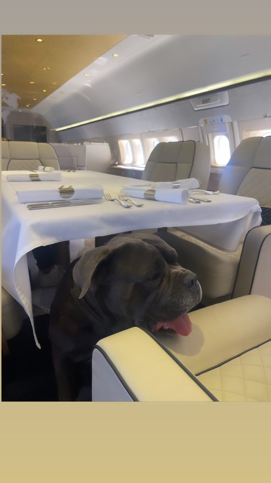 El lujoso avión en el que Wanda Nara viajó a Estambul. Gentileza Instagram.