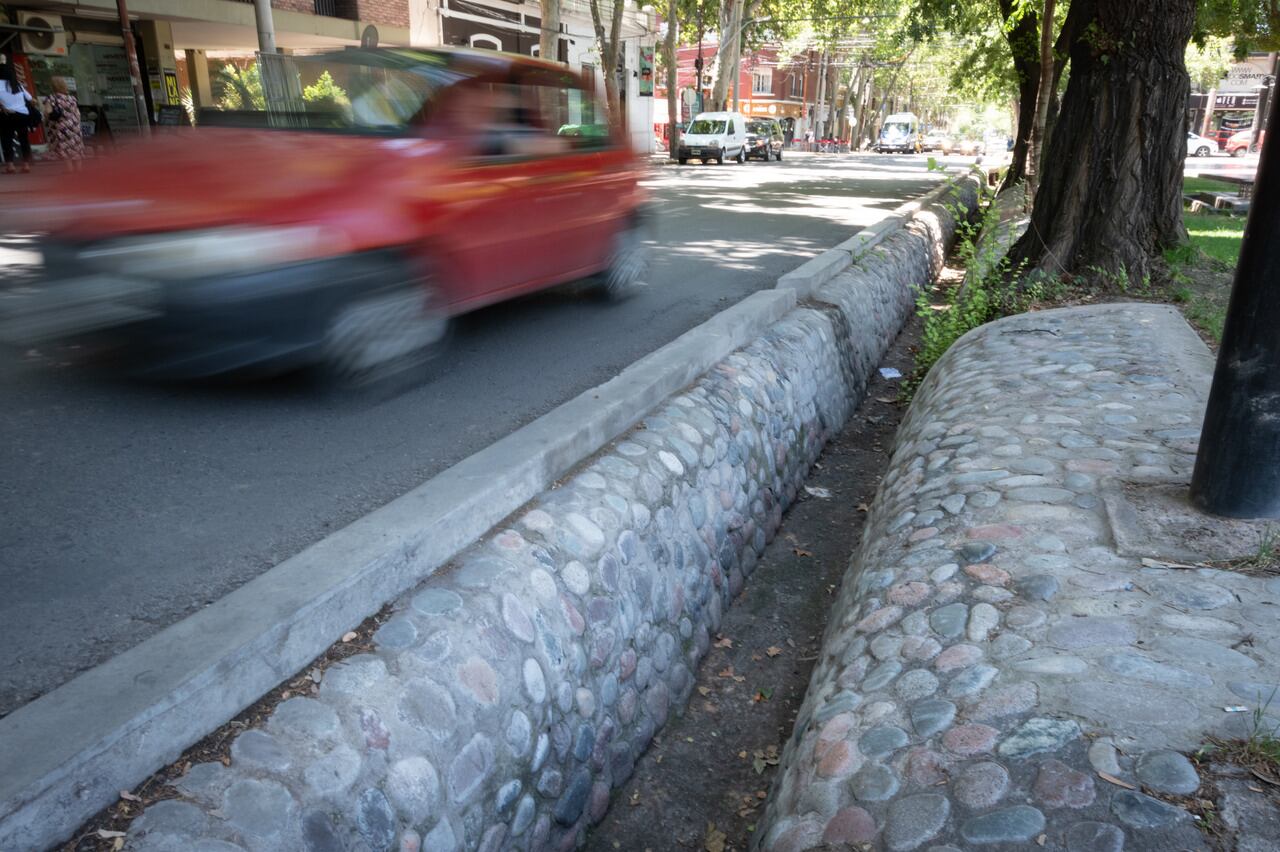 Foto: Ignacio Blanco / Los Andes 