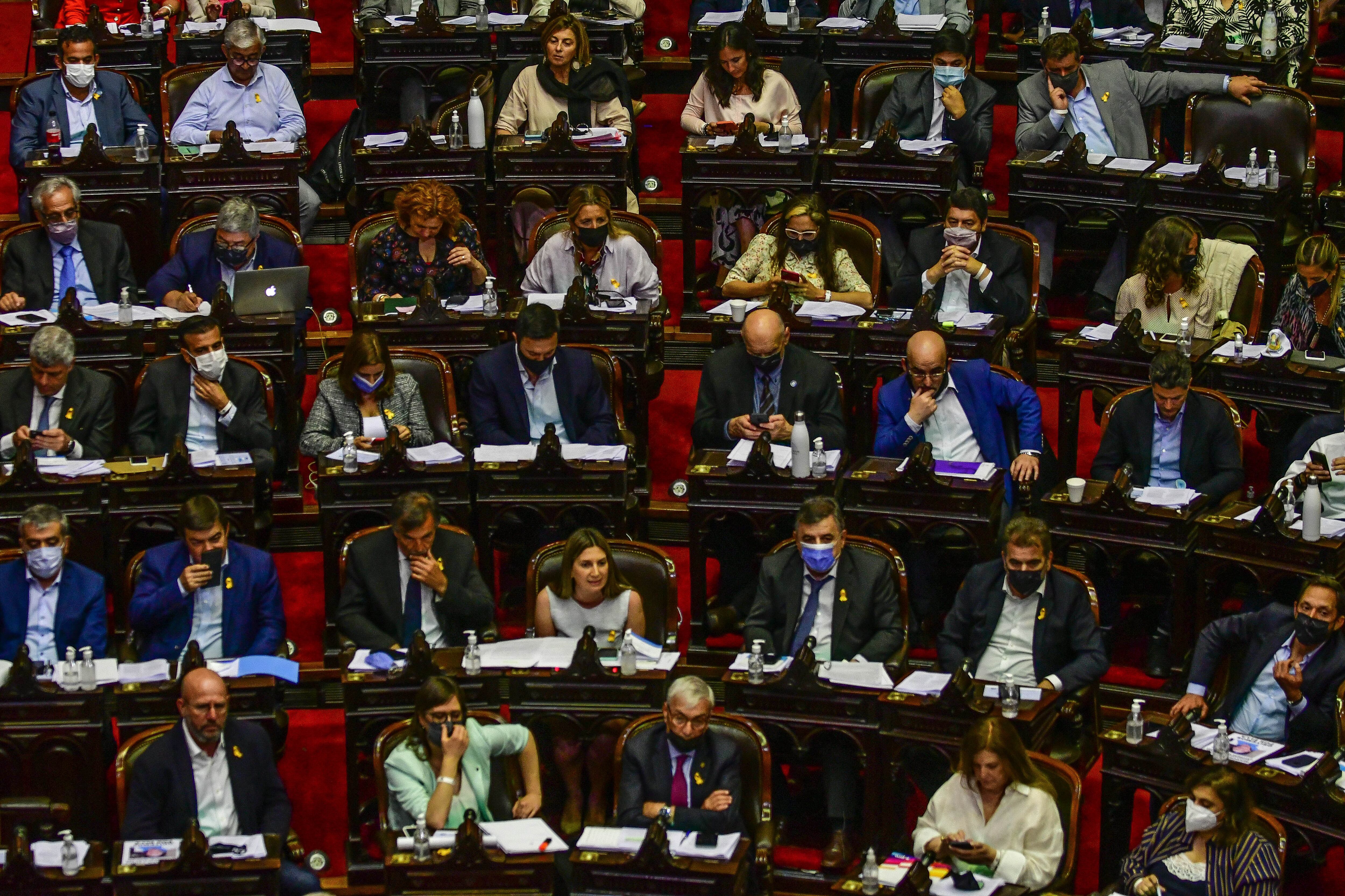 Sesión en la Cámara de Diputados por la ley de etiquetado frontal - Foto: Federico López Claro   / 