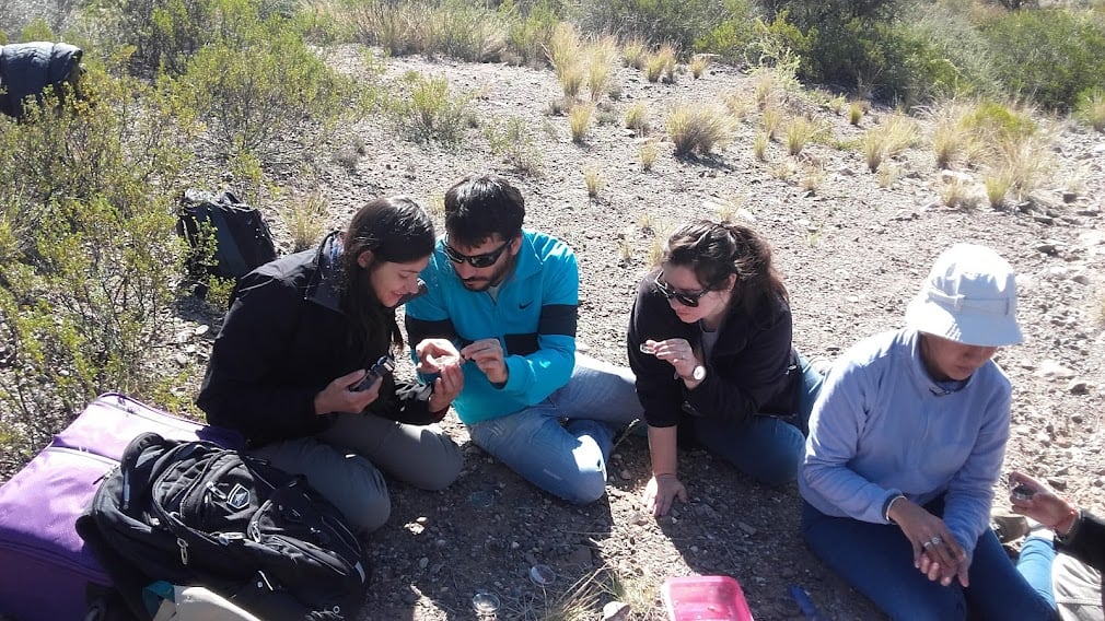 Estudio de Biocostras