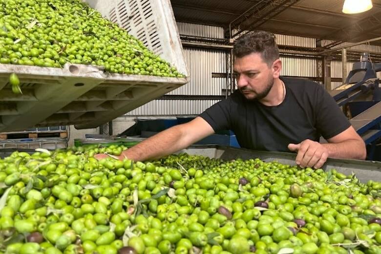 Gabriel Guardia ha sido uno de los impulsores de la primera Indicación Geográfica para el aceite de oliva virgen extra argentino, bajo la marca Mendoza.