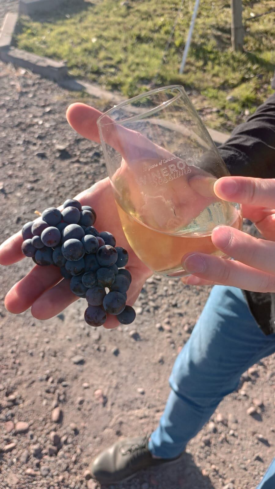 Vino y atardecer