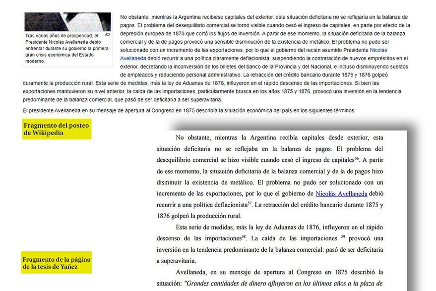 La Tesis de Yañez y las publicaciones en Wikipedia. Gentileza /La Nación.