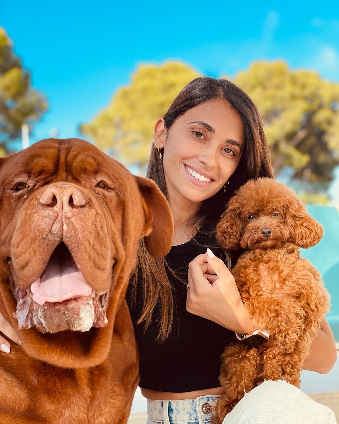 Diego Ramos y sus perros gigantes que enamoran en Instagram. Messi e Iván de Pineda se suman a la tendencia