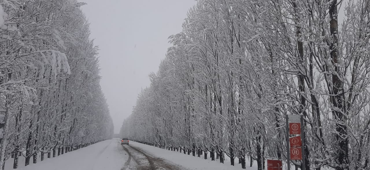 Espectacular nevada en San Carlos. Gentileza