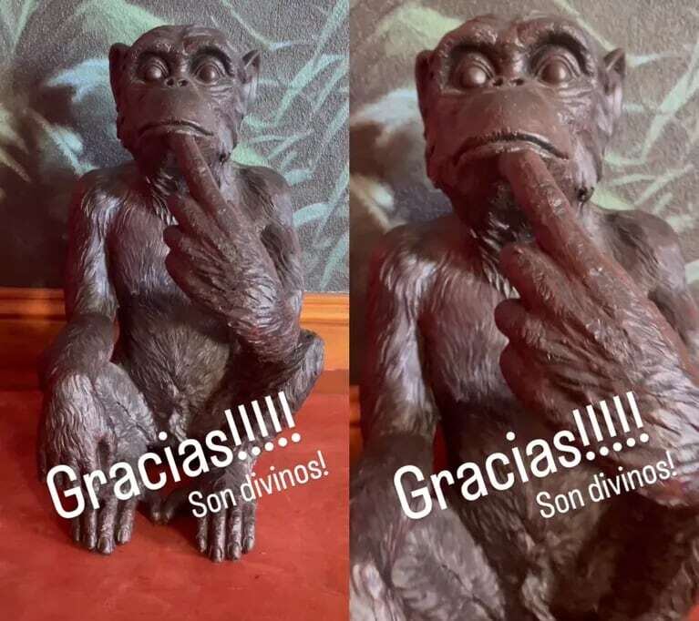 El regalo de Burlando a Susana Giménez. / Instagram