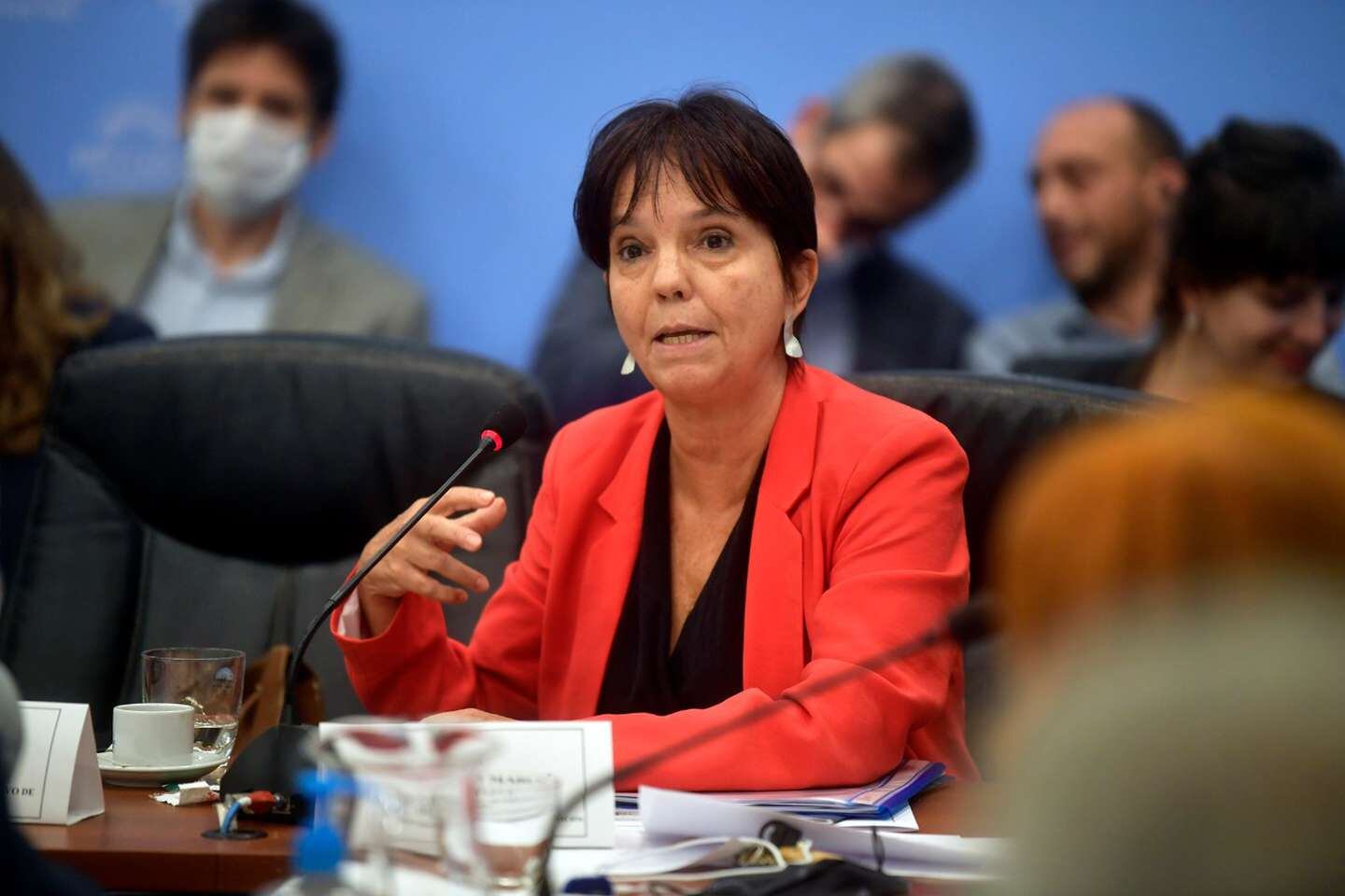 La titular de la AFIP, Mercedes Marcó del Pont, no participó del anuncio sobre el Impuesto a las Ganancias, pero tendrá que reglamentar los cambios. (Foto: Web