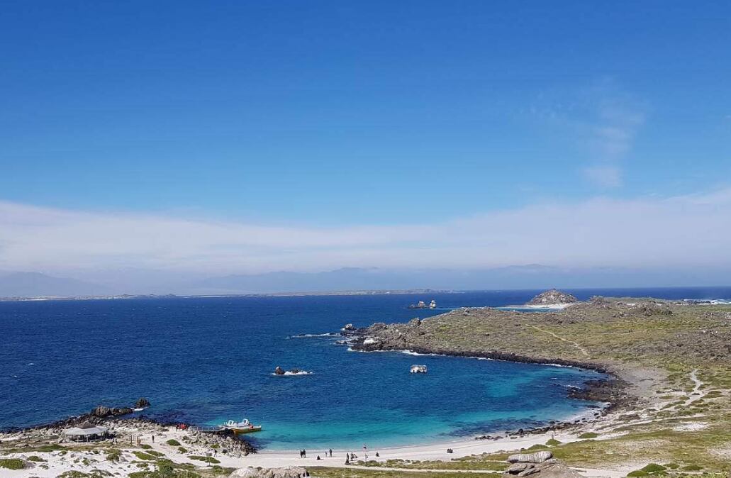 La isla chilena ubicada frente a La Serena y que permite disfrutar de delfines, pingüinos y ballenas. Foto: Turismo La Serena.