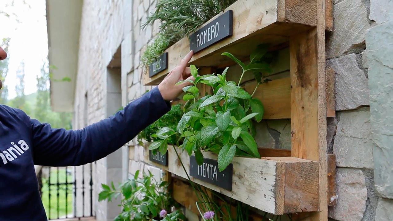 Para acomodar las plantas de nuestro jardín, de una manera bella y súper moderna.