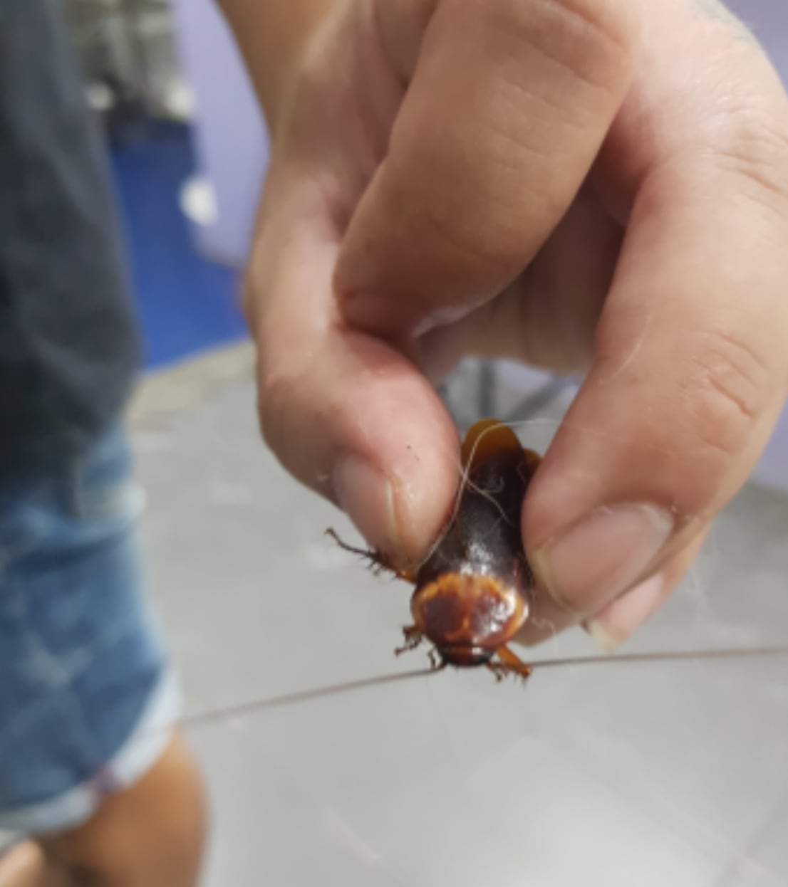 El joven que la rescató podrá buscarla en unos días.