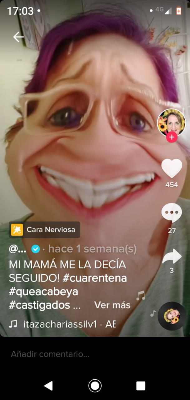 En la red Tik Tok