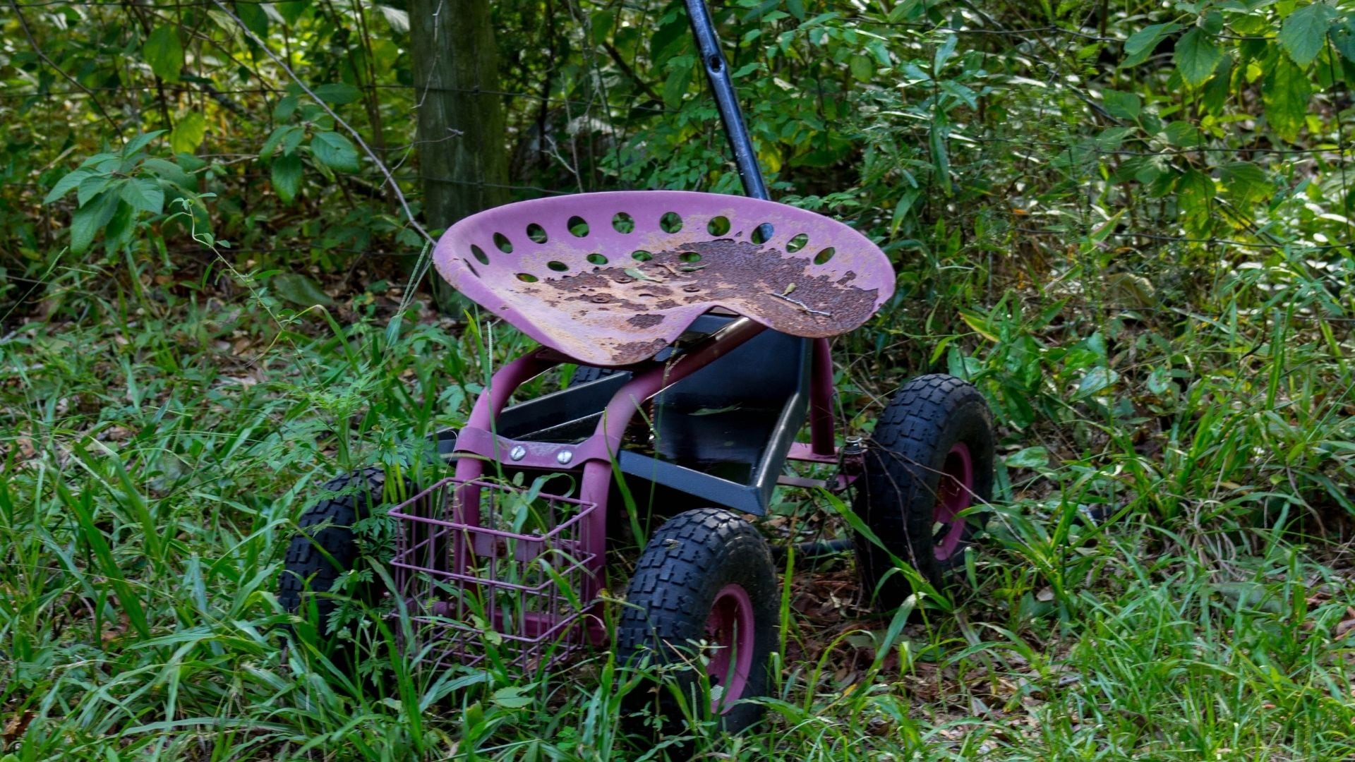 Jardinería