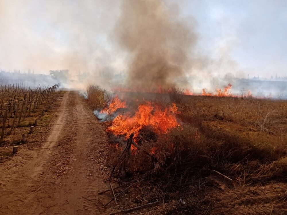 El fuego afectó entre 10 y 20 hectáreas - Mariana Villa 