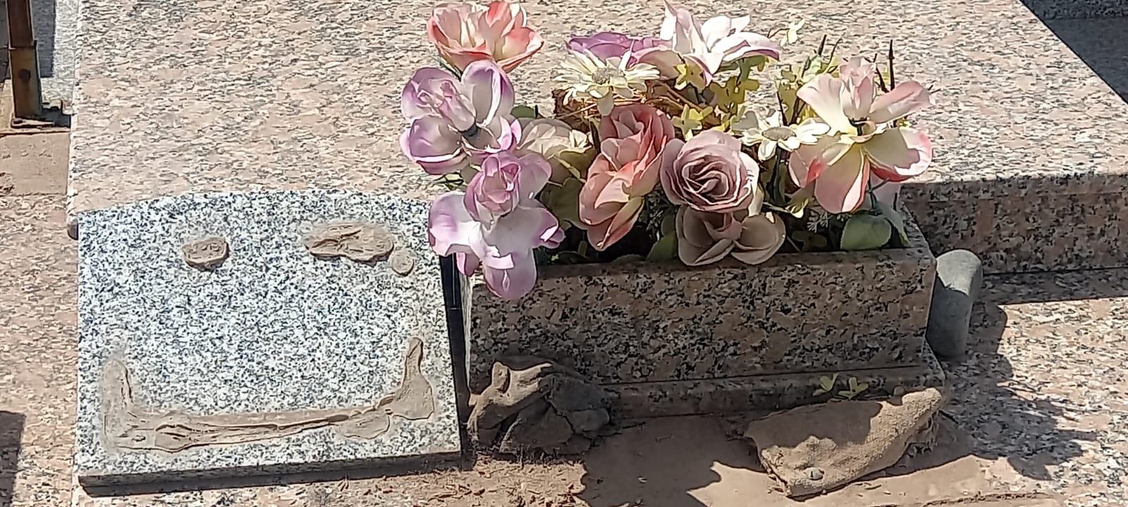 Angustiante: fueron al cementerio a visitar a sus madres en su día y encontraron que habían robado hasta las fotos. Foto: Gentileza