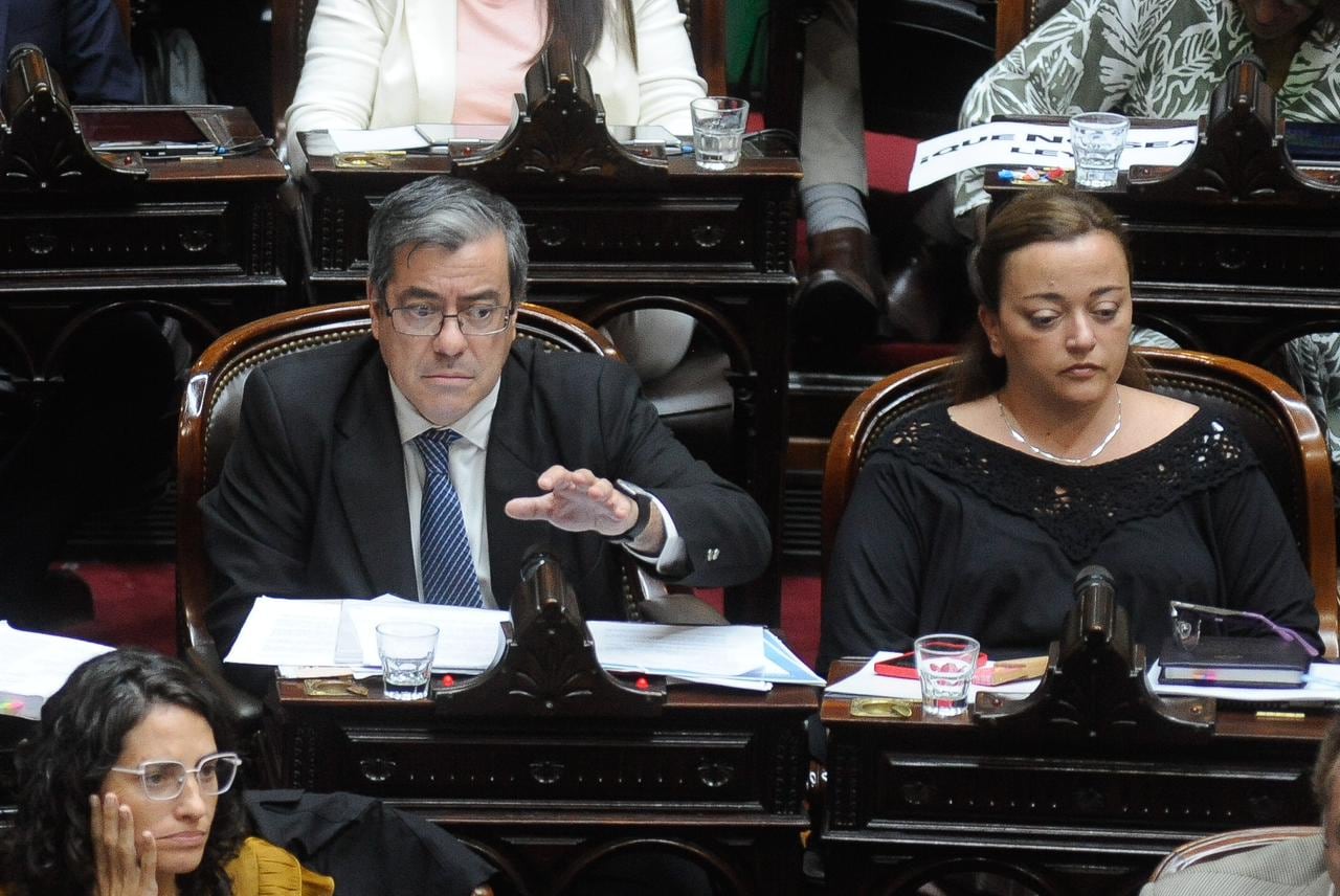 Germán Martínez, jefe del bloque de Diputados de Unión por la Patria. Foto: Federico Lopez Claro