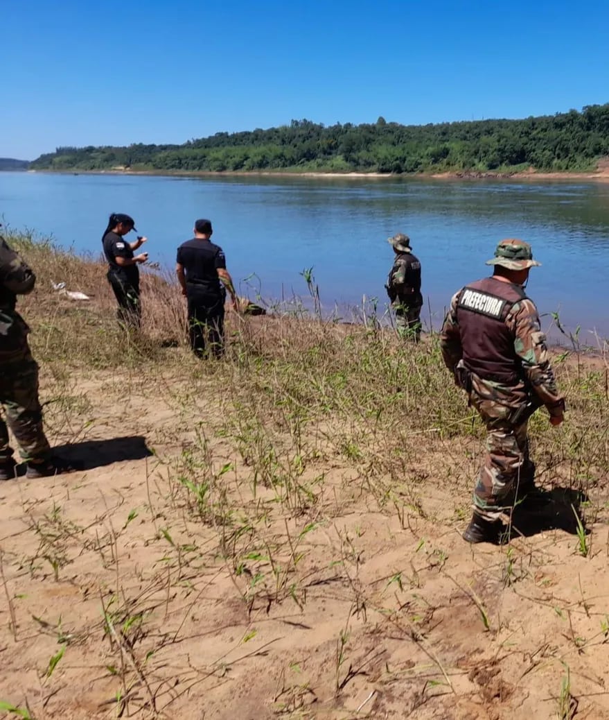 Encontraron los cuerpos de los hermanitos tirados al río por su mamá en Paraná. Foto: Web