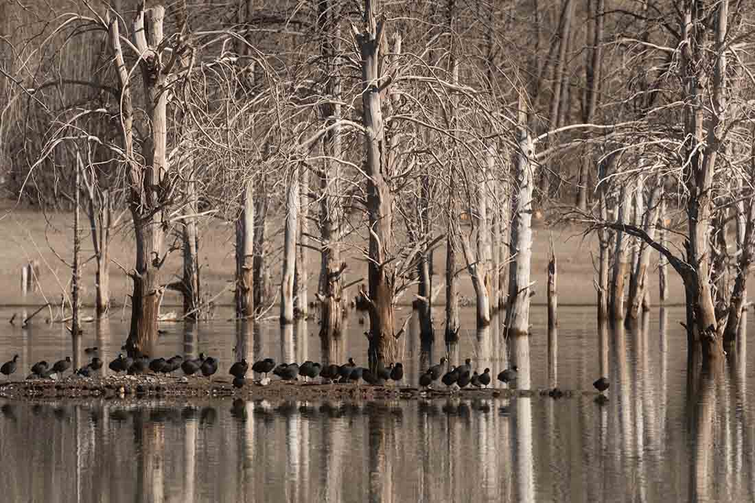 Mendoza atraviesa uno de los inviernos mas secos de los últimos años, en el cual casi no se registraron nevadas importes en alta montaña, esto repercutirá en la falta de agua para riego de cultivos y consumo humano en el verano de 2022