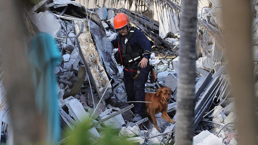 Un rescatista registra con un perro los escombros del condominio.