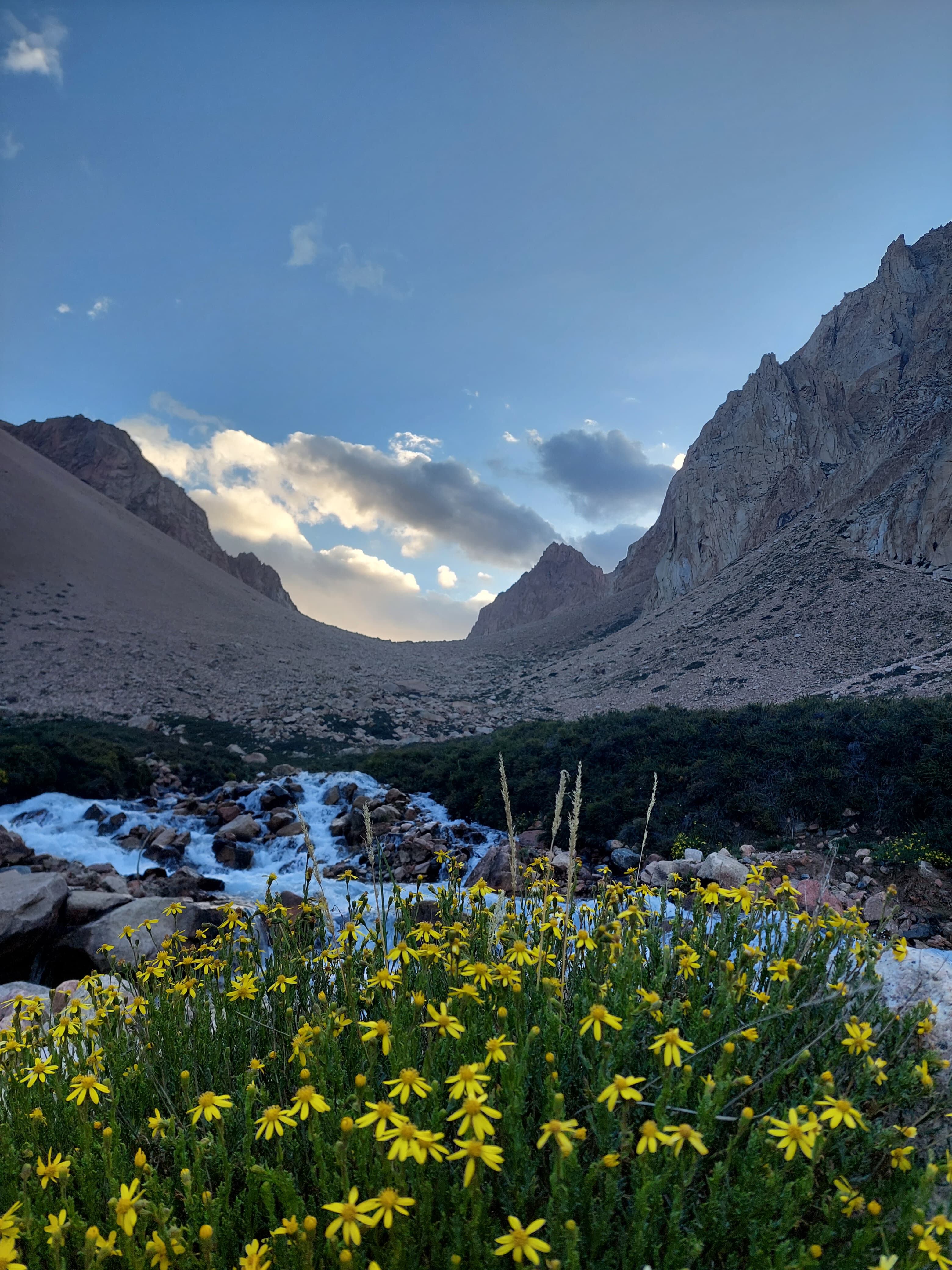 Recorrido entre montañas, flora y arroyos para llegar a la laguna escondida de Cajón de Arenales