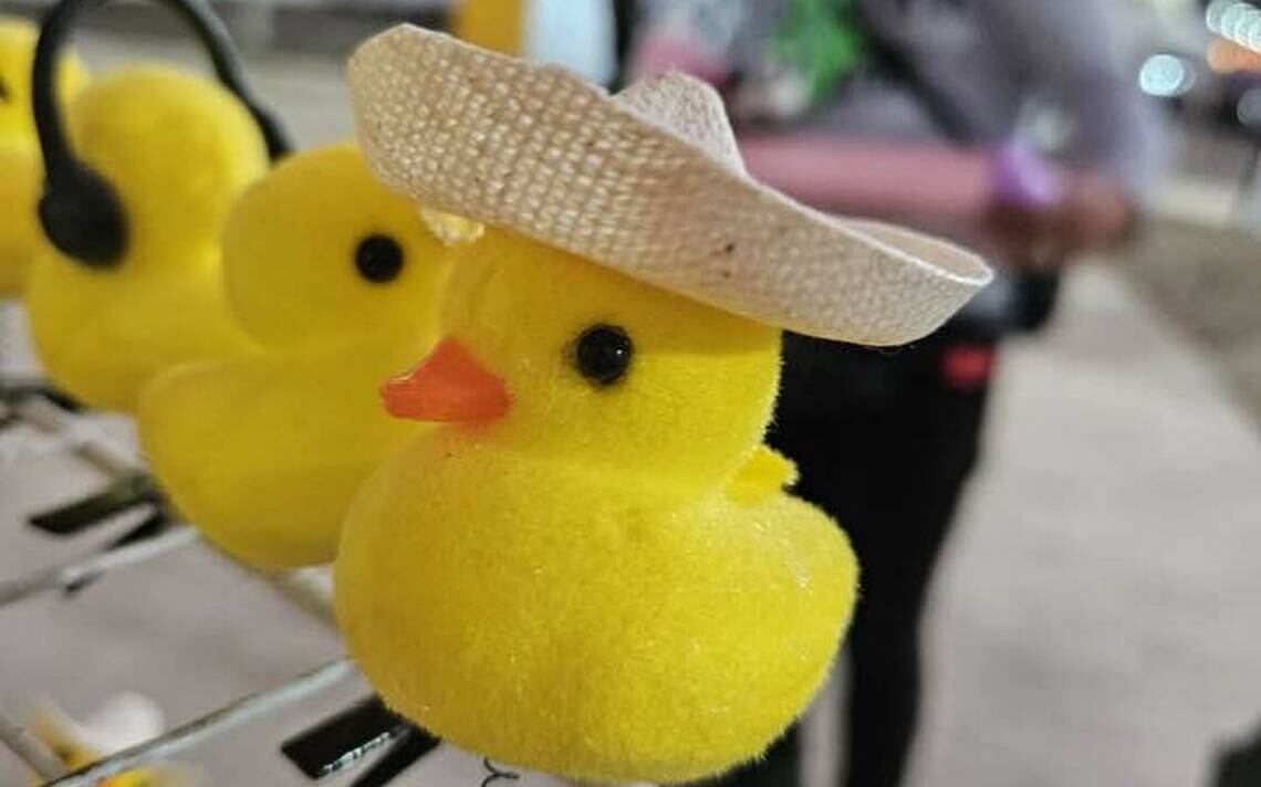 Esta tendencia se volvió tan viral que los vendedores ofrecen el patito de color amarillo en las calles. Gentileza: Diario del Sur.