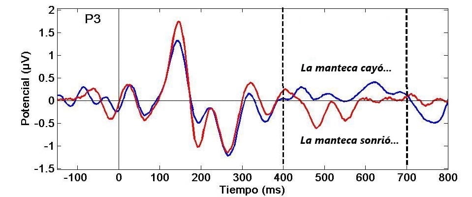 Potencial eléctrico promedio evocado en el electrodo P3 ante dos frases distintas: "la manteca cayó..." (trazado azul), y "la manteca sonrió..." (trazado rojo). Nótese la diferencia de los trazados observado entre los 400 y 700 ms luego de la aparición del verbo ("cayó" o "sonrió"). La deflexión negativa del trazado rojo en esa ventana temporal marca el Potencial N400.