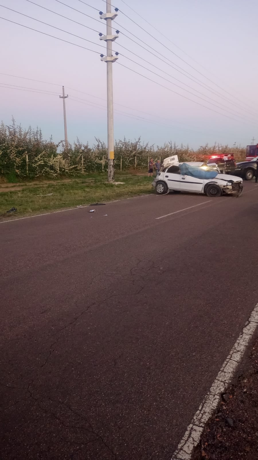 Una mujer de 40 años falleció tras volcar en un auto en Tunuyán.