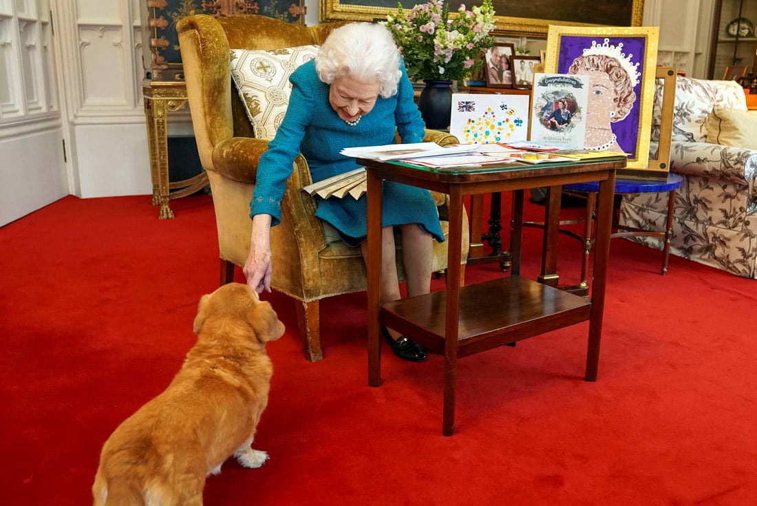 La reina Isabel II de Gran Bretaña, acompañada por uno de sus perros, mira recuerdos de sus jubileos de oro y platino en el Oak Room del Castillo de Windsor. (Steve Parsons/AP)