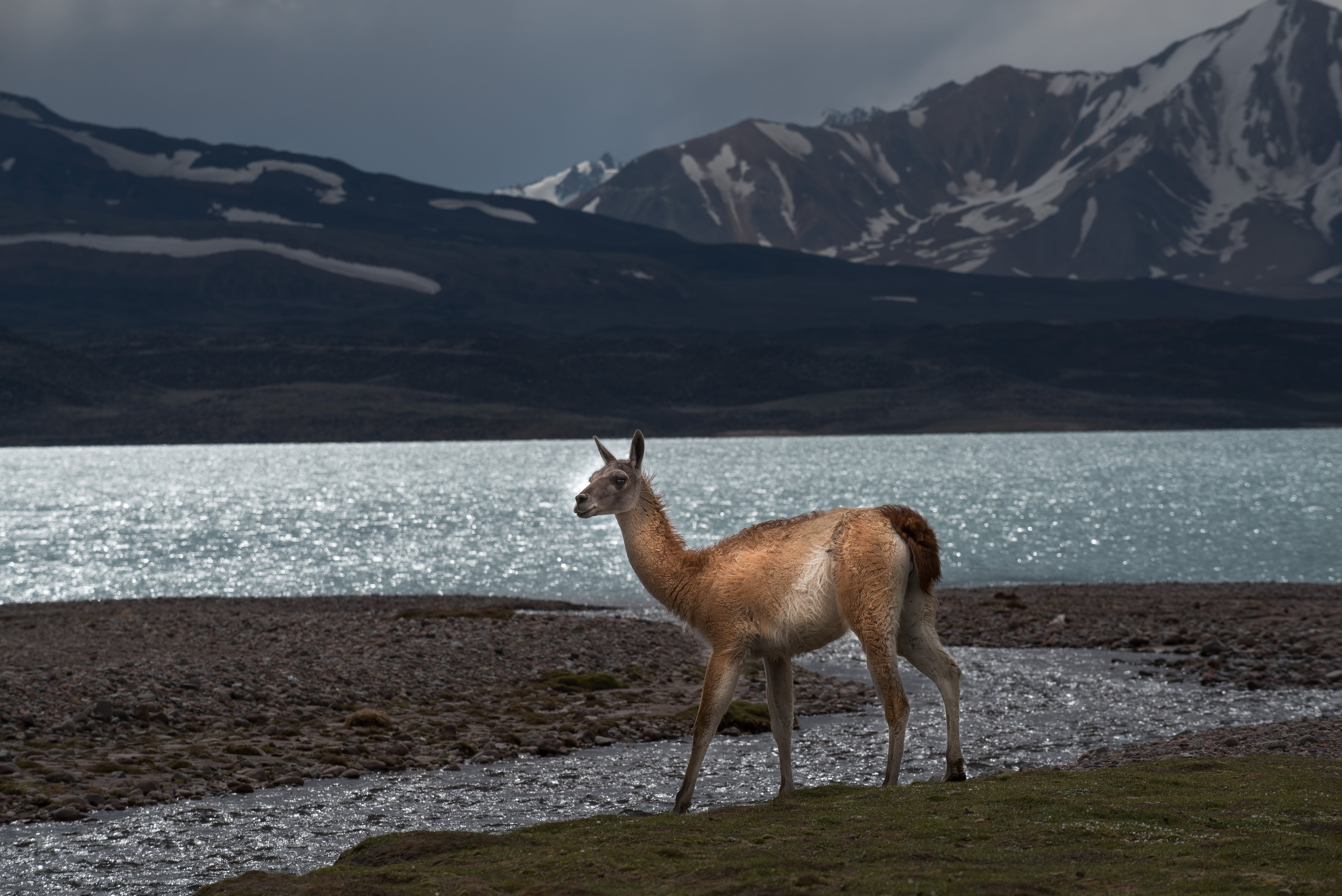 Laguna del Diamante. Prensa Gobierno