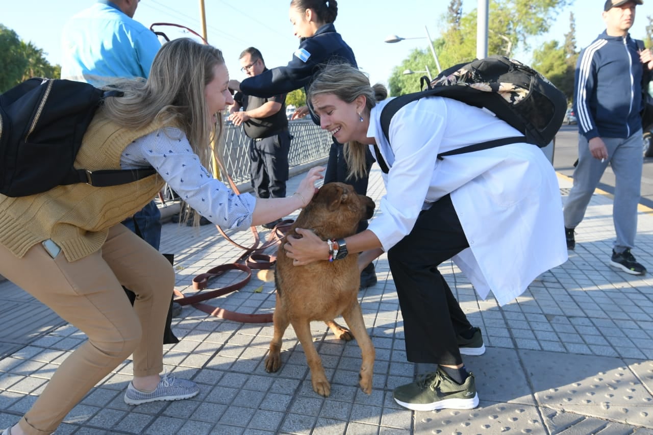 Fotos y video: bomberos rescataron a un perrito en el canal Cacique Guaymallén y evitaron que se ahogue. Foto: Ignacio Blanco / Los Andes.