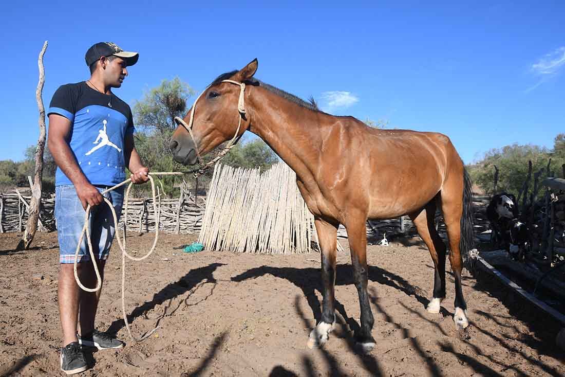 Desde el mes de Mayo del 2021 no llueve, los animales mueren de sed y de hambre al no haber pasto por la escasez de lluvia en la zona.
Gustavo Gonzalez de un puesto del paraje El cavadito, en el corral,  preocupado por la sequía y la mortandad de animales. Foto José Gutierrez