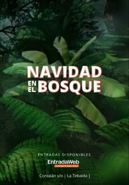 NAVIDAD EN EL BOSQUE.