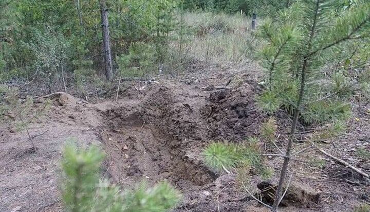 La tumba que debió cavar el abusador. Foto: Web