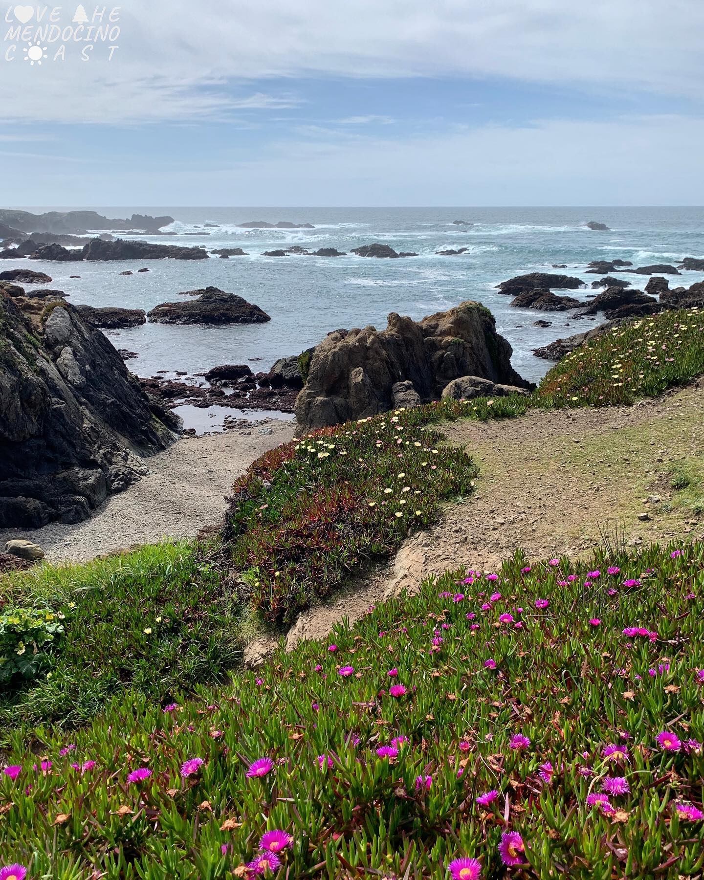 El lugar más “Mendocino” de California: un paraíso colonial oculto de bosques, naturaleza, ríos y mar azul. Foto: Facebook Love the Mendocino Coast