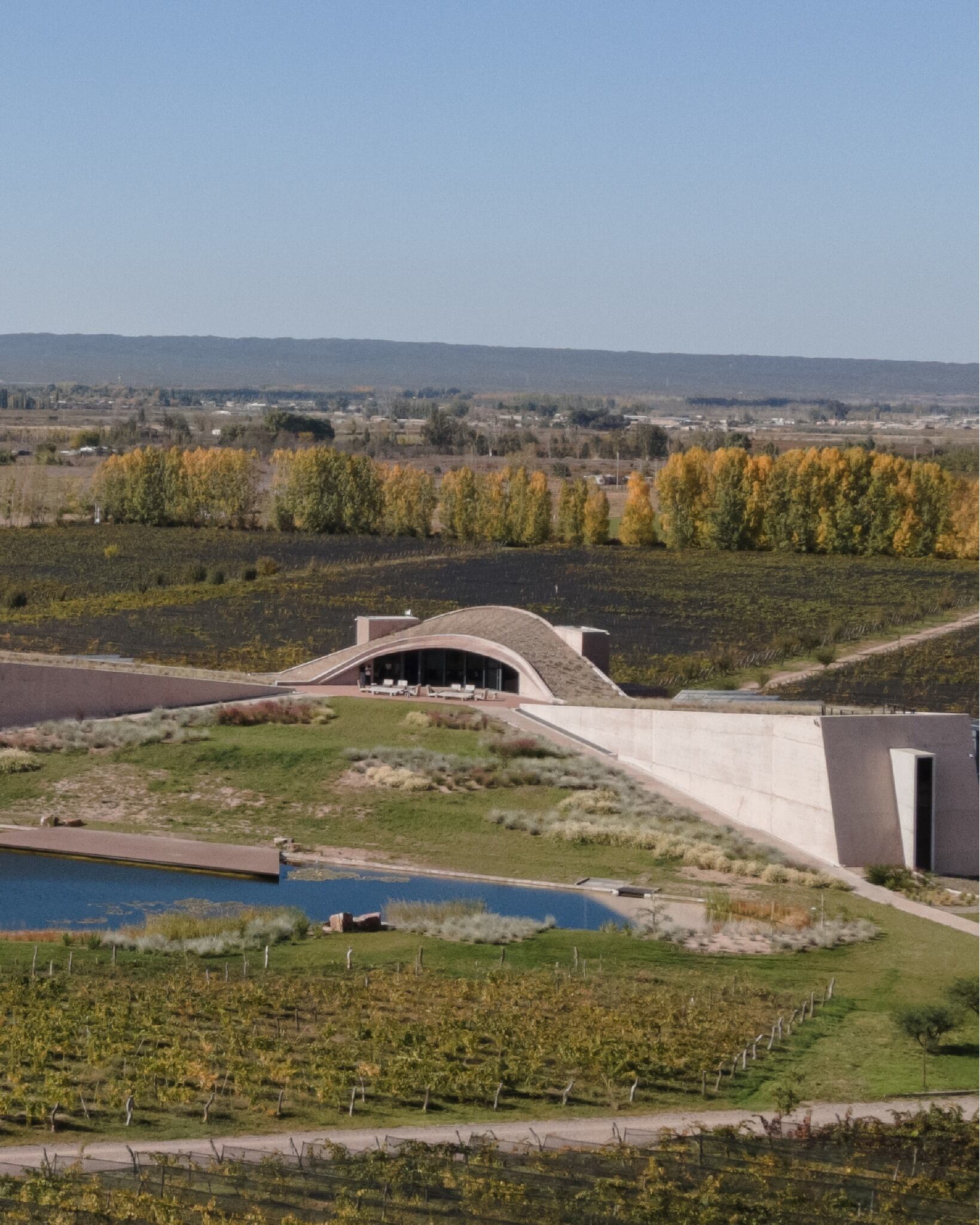 Construida en forma de “L”, los brazos de la bodega albergan a las naves de tanques y la nave de botellas y se abren hacia el oeste