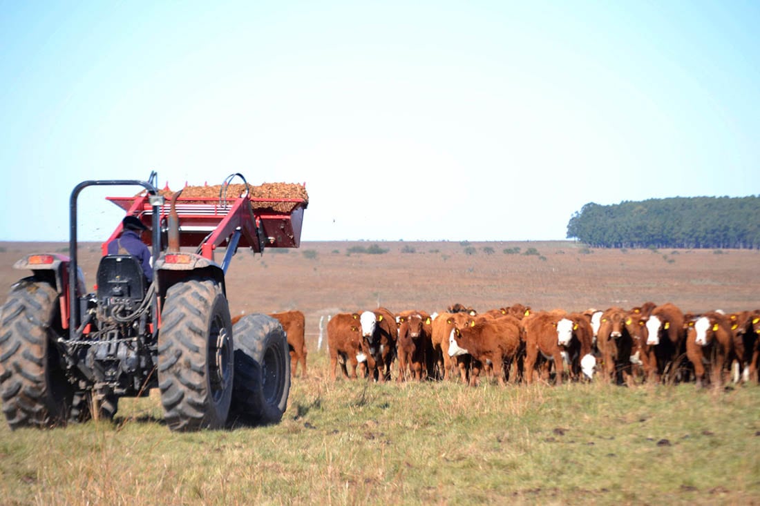 Mendoza Activa incluye líneas agrícolas también 