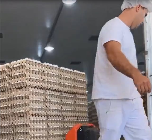 Aunque las pruebas por gripe aviar dieron negativo, el Senasa ordenó destruir 360.000 huevos y estalló la bronca. Foto: Captura Video.