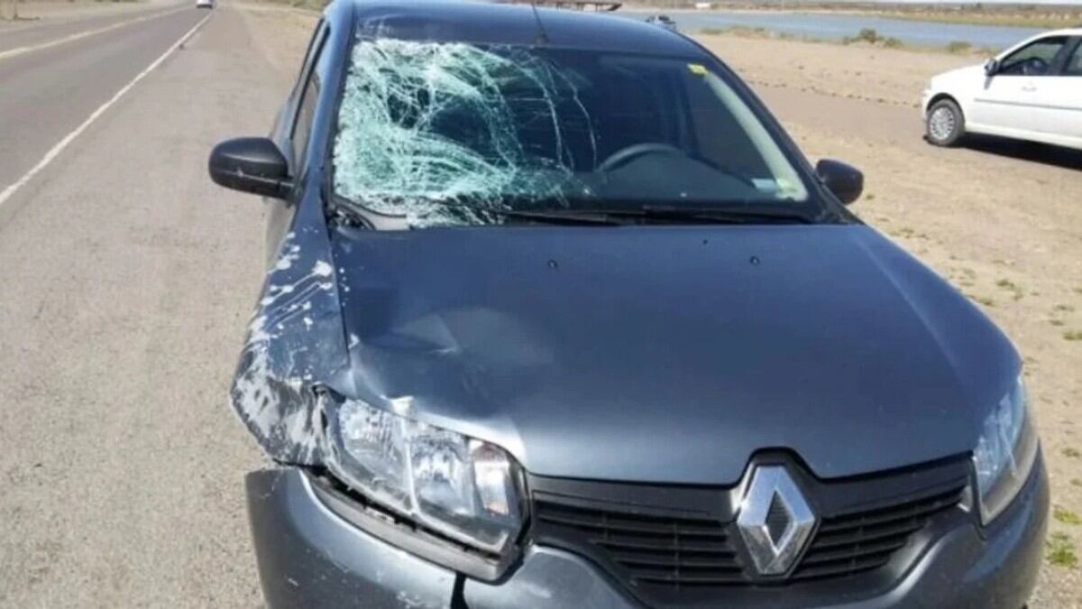 El estado del auto luego de envestir al joven ciclista a más de 100 km por hora