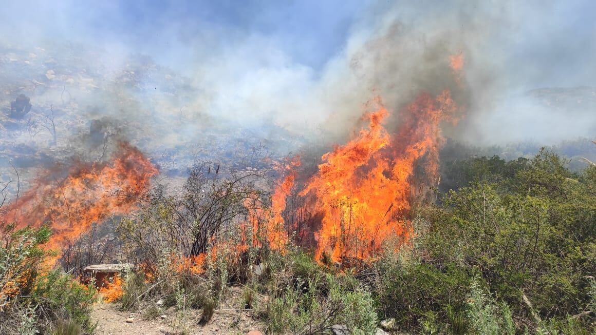 Incendios en El Salto