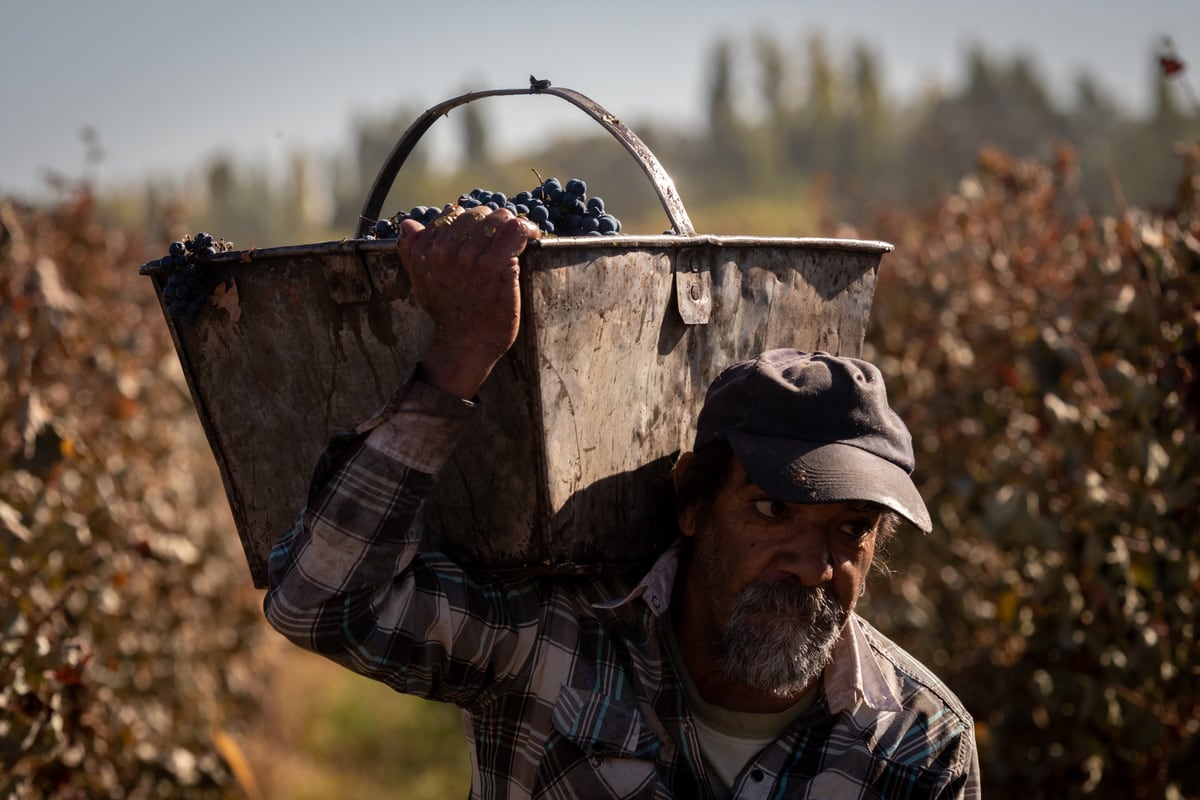 

Foto: Ignacio Blanco / Los Andes  