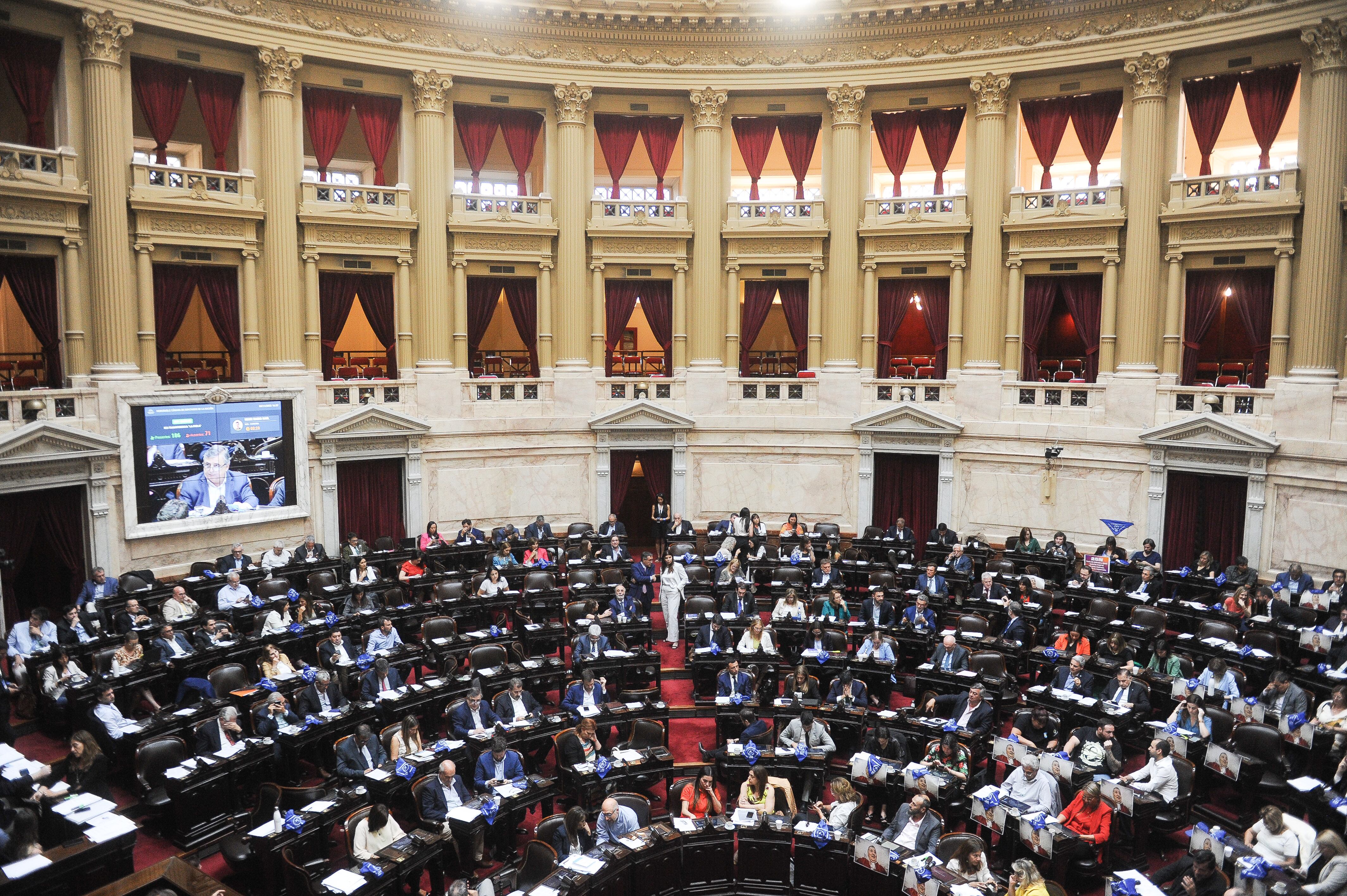 Cámara de Diputados. Foto: Federico Lopez Claro