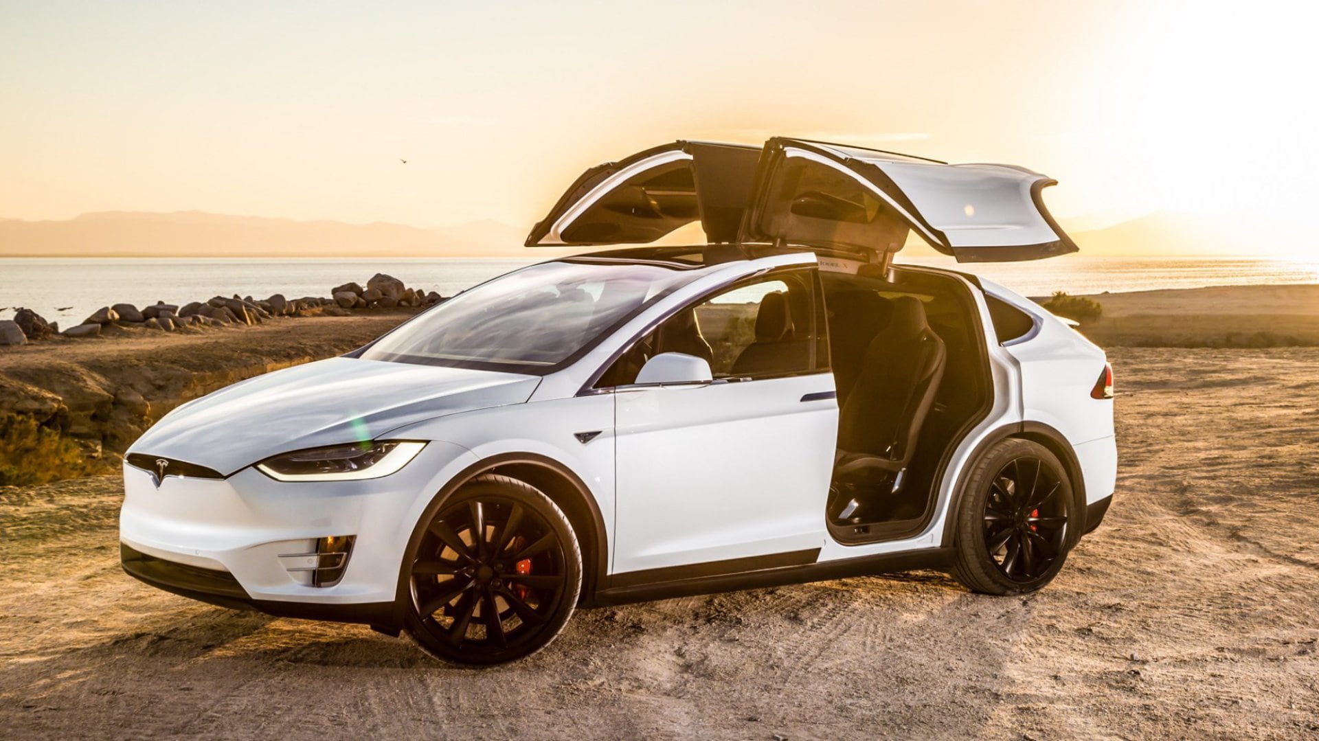 Tesla modelo X. Web