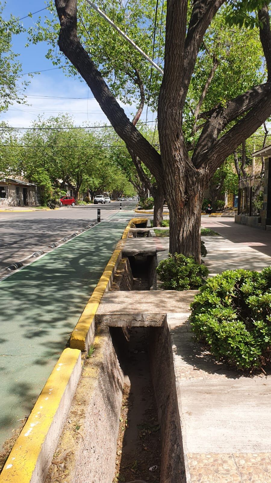 Acequia en Ciudad de Mendoza. Foto: Suden, C. (2023).