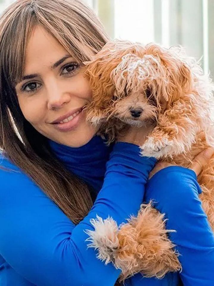 Así esta Caramelo, el perrito que adoptó Romina en Gran Hermano.