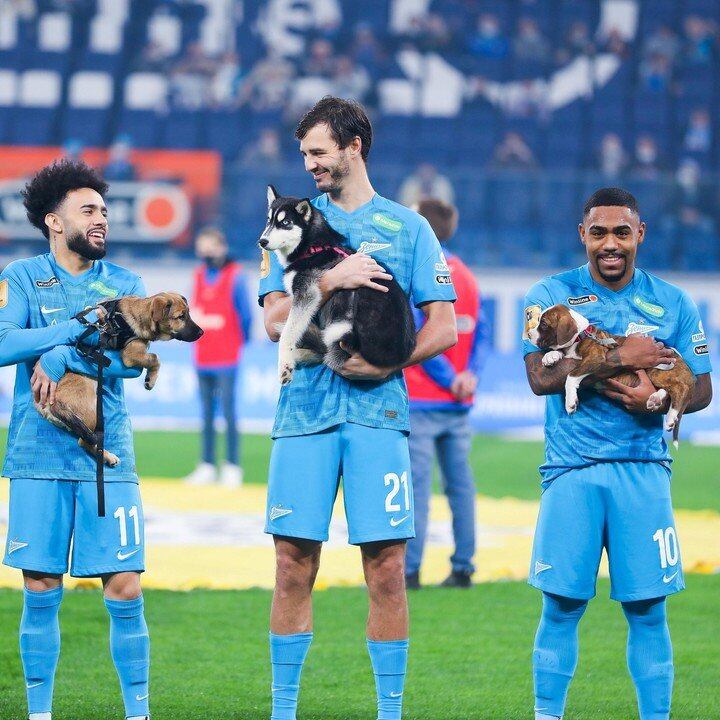 El gran gesto del Zenit con varios cachorros sin hogar.