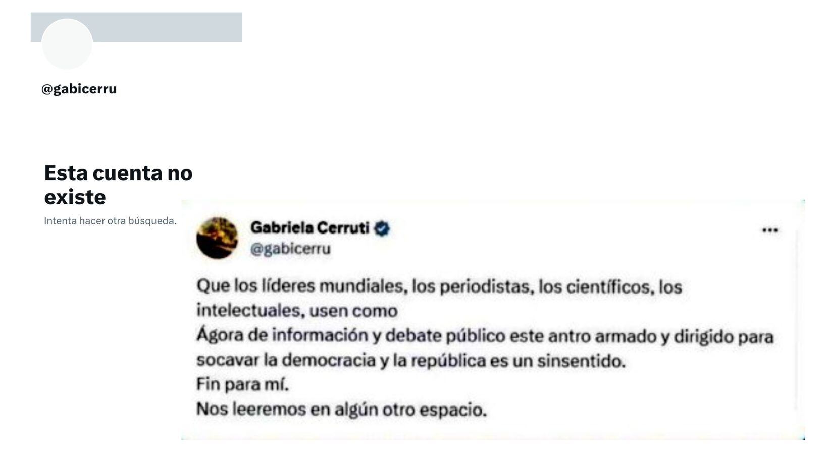 el ultimo mensaje de Cerruti en X (captura de pantalla)