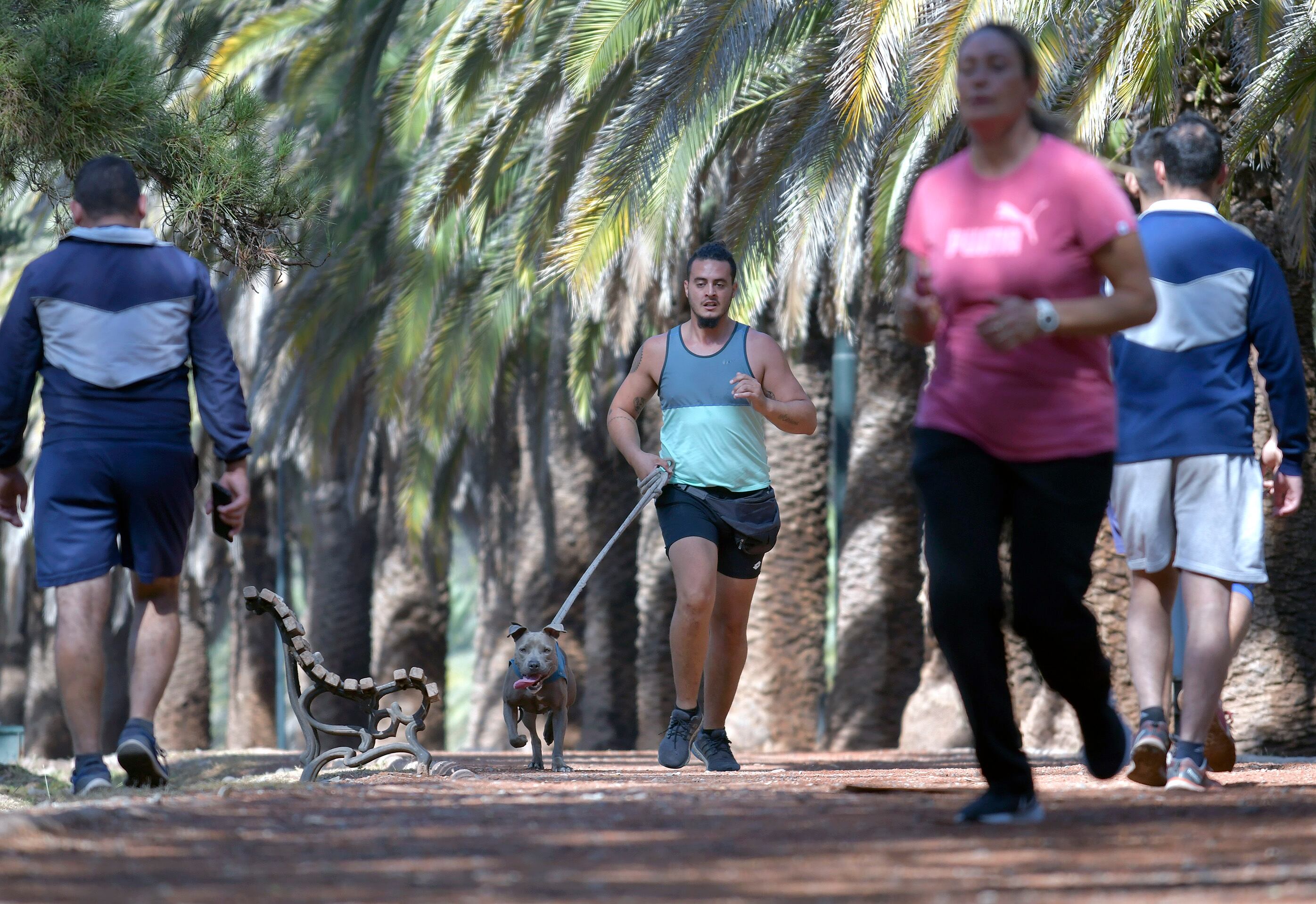 Esto pasa con tu cuerpo si caminás 10.000 pasos por día. / Foto: Orlando Pelichotti