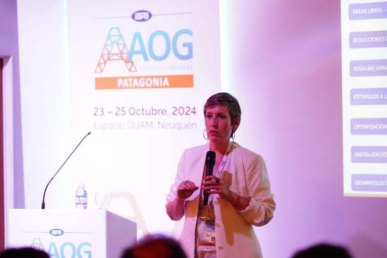 Funcionarios del Gobierno provincial participaron de la Argentina Oil & Gas Expo Patagonia 2024. Foto: Gentileza