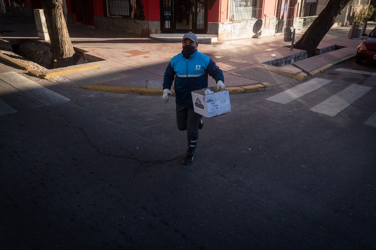 "A lo sumo podés arremangarte, pero después te pican todos los brazos con la transpiración y las hojas" se sincera Diego Medina, quien se ducha ni bien llega a casa luego de una acalorada jornada de trabajo. Foto: Ignacio Blanco / Los Andes. 